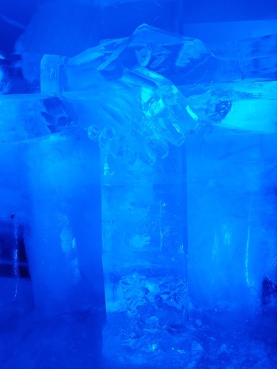 20220319_145614.jpg